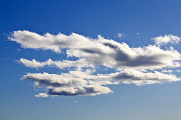A cloud floating on the blue sky.