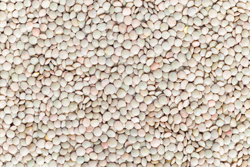 Food background with uncooked dry green lentils, top view