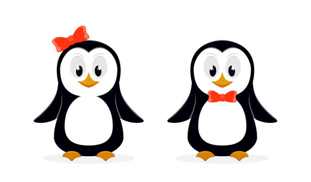 Two cute penguins on white background