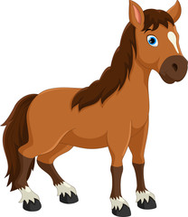 Cute horse cartoon