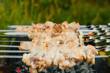 bbq, meat roasted, skewers meat, barbecue, charcoal grill meat