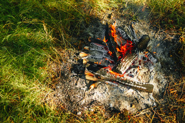 Bonfire in the forest.