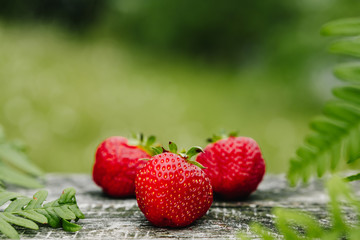 Strawberries on a wooden gray table on a green background, leaves of paparatnik, strawberry season. сopy space for text,