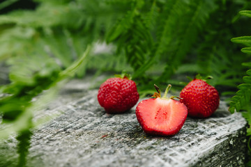 Strawberry on a wooden gray background, fern leaves, strawberry season, сopy space for text, Top View.