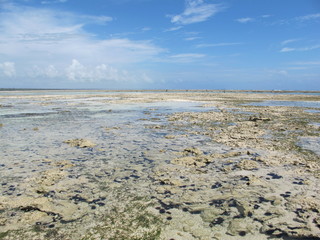 Low tide on a Zanzibar beach