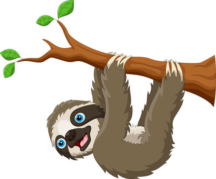 Cartoon cute sloth hanging on the tree