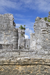 Fototapeta na wymiar Ruins of Tulum ancient city of mayan civilization, Mexico