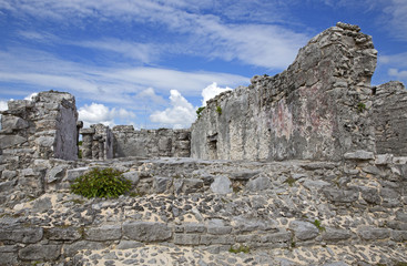 Fototapeta na wymiar Ruins of Tulum ancient city of mayan civilization, Mexico
