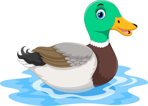 Cute cartoon duck swimming 