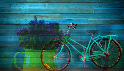 Old blue bicycle and flower in vas on wooden background , multiply effect