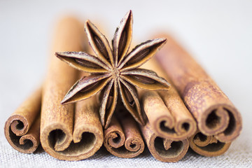 Spices: star anise and cinnamon sticks on white background. Close-up. Blur