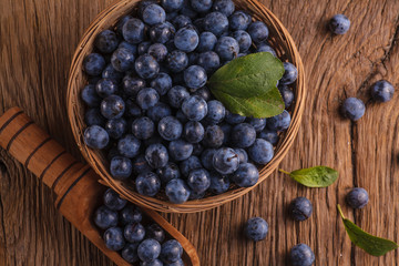 Sloes