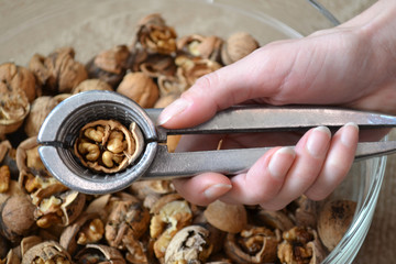 Nutcracker with nut in hand