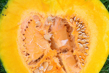 Texture of the Cut Pumpkin, Close-Up. The Insides of a Pumpkin. Cutting Pumpkin Background