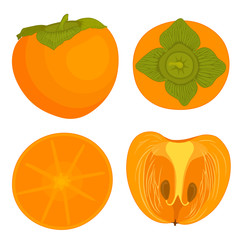 Vector persimmon in the cartoon style. Top view. Half a whole fruit persimmon close-up.