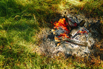 Bonfire in the forest.