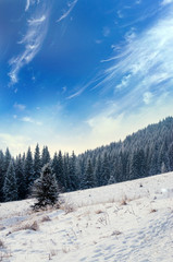 Fantastic winter mountain landscape