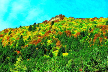 AUTOMNE SAVOIE