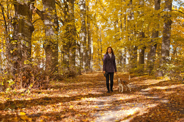 Woman with dog in autumn park.