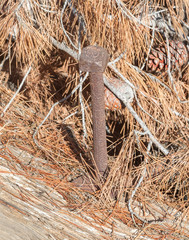 Close up on wood and nail, rusty nail on wood