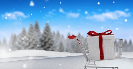 Gift in shopping trolley in Christmas Winter landscape