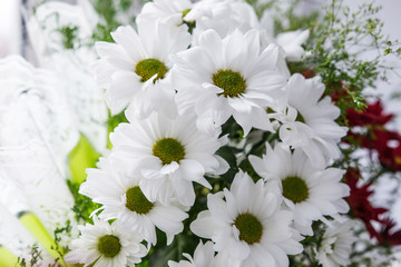 Fototapeta na wymiar bouquet of white flowers close-up