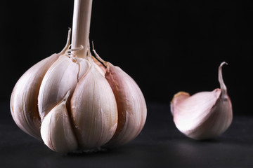 garlic head