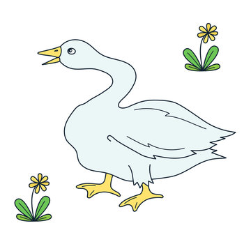 Goose bird vector illustration