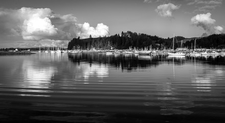 Fototapeta premium Oregon Yacht Harbor
