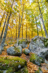 Castanar de El Tiemblo