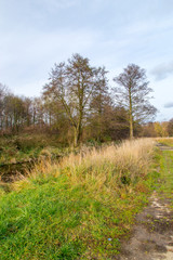 Fototapeta premium Radunia canal in autumn time.