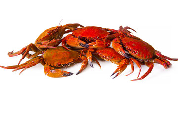 seafood, crabs isolated on white