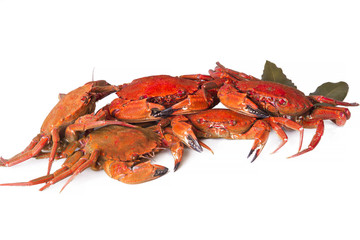 seafood, crabs isolated on white