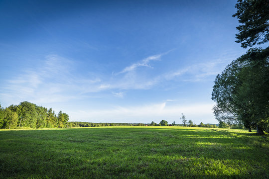Green fields and blue sky in the summer