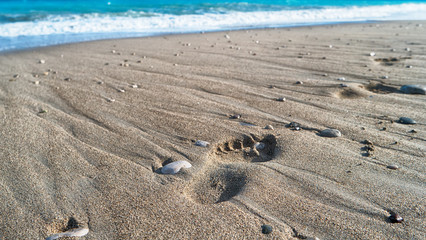 Fototapeta na wymiar footprint on the sand of the sea
