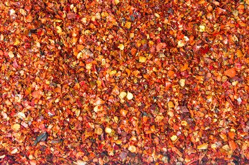 Grounded red pepper background pattern