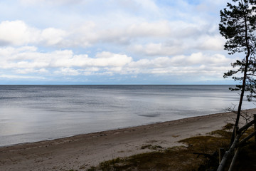 Shoreline of Baltic sea beach with rocks and sand dunes
