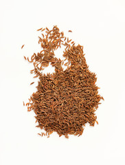 pile of caraway seeds