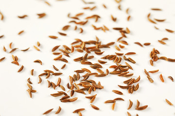 fingerful of caraway seeds