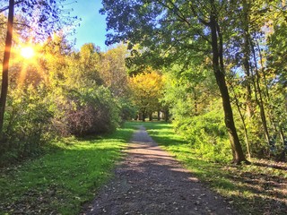 Path in sunny autumnal nature landscape