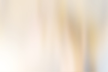 Obraz na płótnie Canvas Light abstract gradient motion blurred background