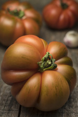 Costoluto Pachino tomatoes on wood background