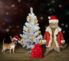 The cat with a dog are near the white Christmas tree.