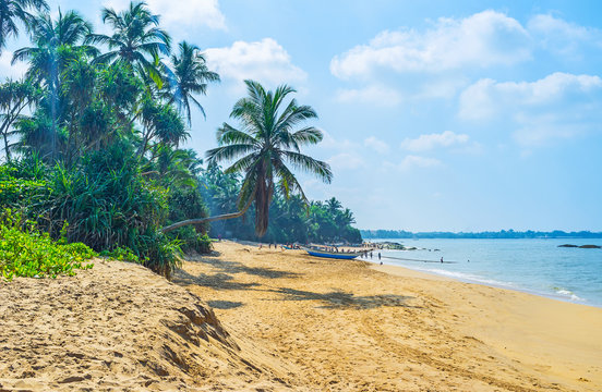 Sand Beach In Bentota