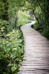 Fototapeta premium Plitvice Croatia lake and wooden walkway