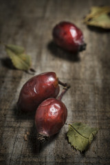 Rosehip vert on wood