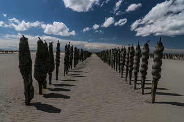 Berck (Berck-sur-Mer) ist eine Gemeinde im Norden von Frankreich (Departement Pas-de-Calais, Region...