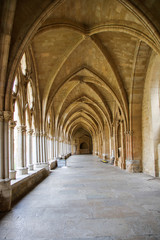 Fototapeta na wymiar Bayonne cathedral