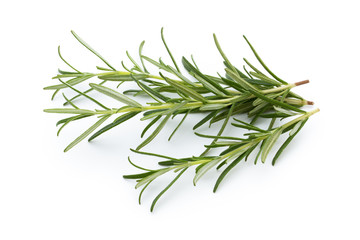 Rosemary isolated on white background, Top view.