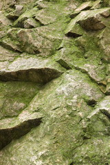 Abstract granite background, texture from another planet, Martian surface, stone background for designer, brown pattern of extraterrestrial life, granite, texture from the future, minimalism, granite 